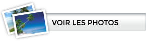 Voir les photos